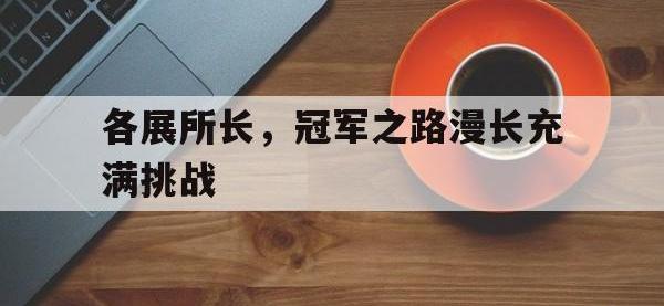 B体育体育电竞-各展所长，冠军之路漫长充满挑战的简单介绍