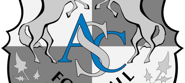 B体育体育平台-亚眠期待在接下来的比赛中实现连胜的简单介绍