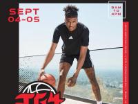 B体育体育亚洲官网-包含火箭总经理赞扬球员沃尔加盟团结的词条