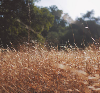 华夏幸福客场逆转胜大连人，挣得宝贵三分