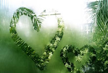 B体育体育娱乐-上海申花在关键时刻攻陷对手球门的简单介绍