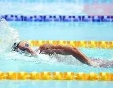 意大利游泳健儿勐获多项头衔,实力超群 意大利游泳健儿勐获多项头衔,实力超群