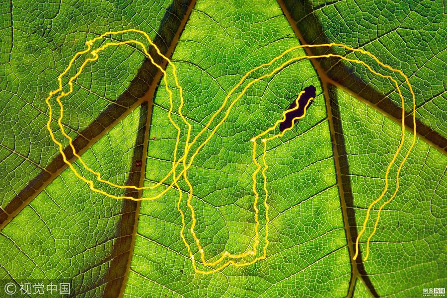 红红火火，欧洲之巅争夺即将揭晓的简单介绍